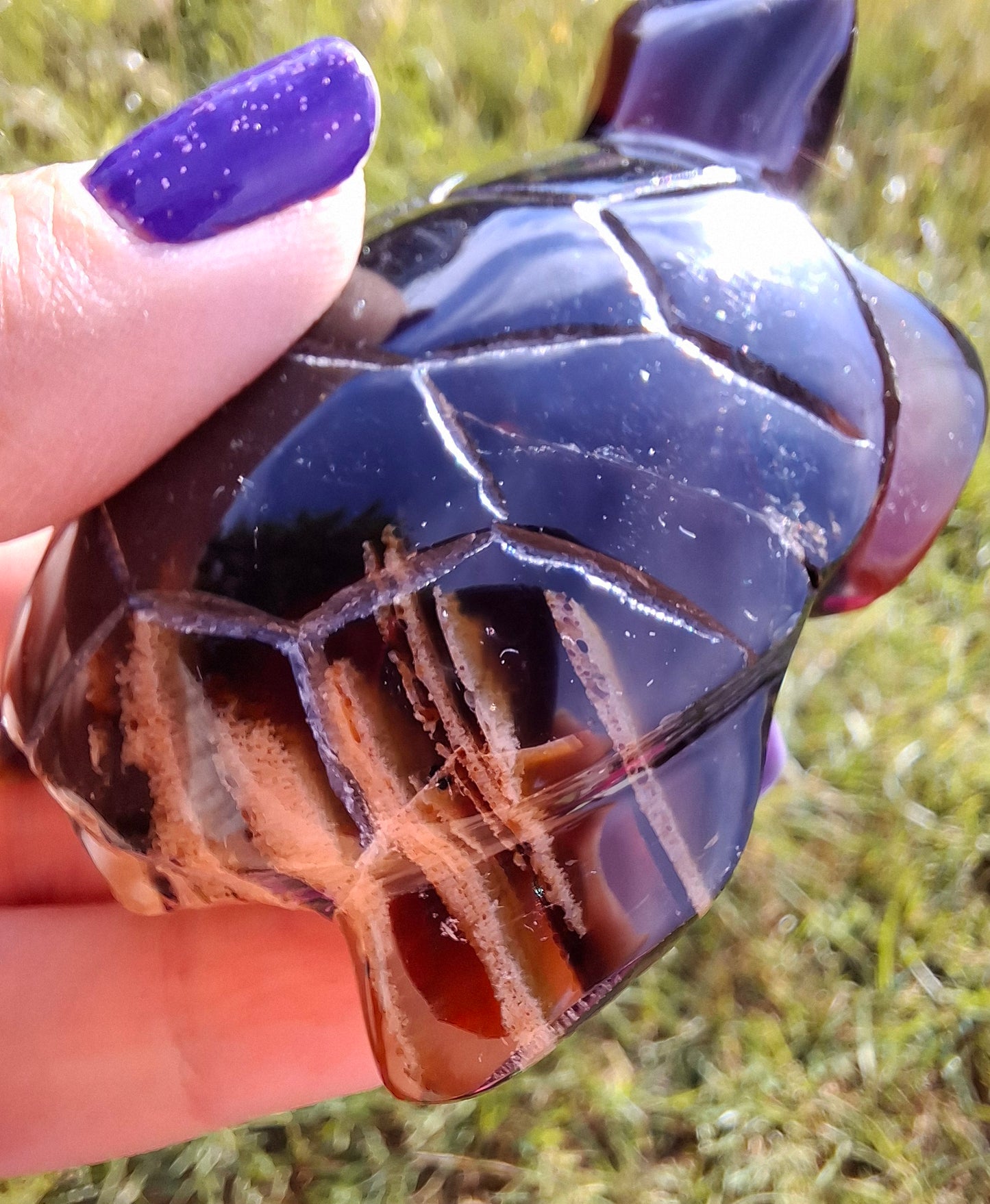 Red Amber Turtle, 59.07g, Carving, Fossil (Ref: TT5)