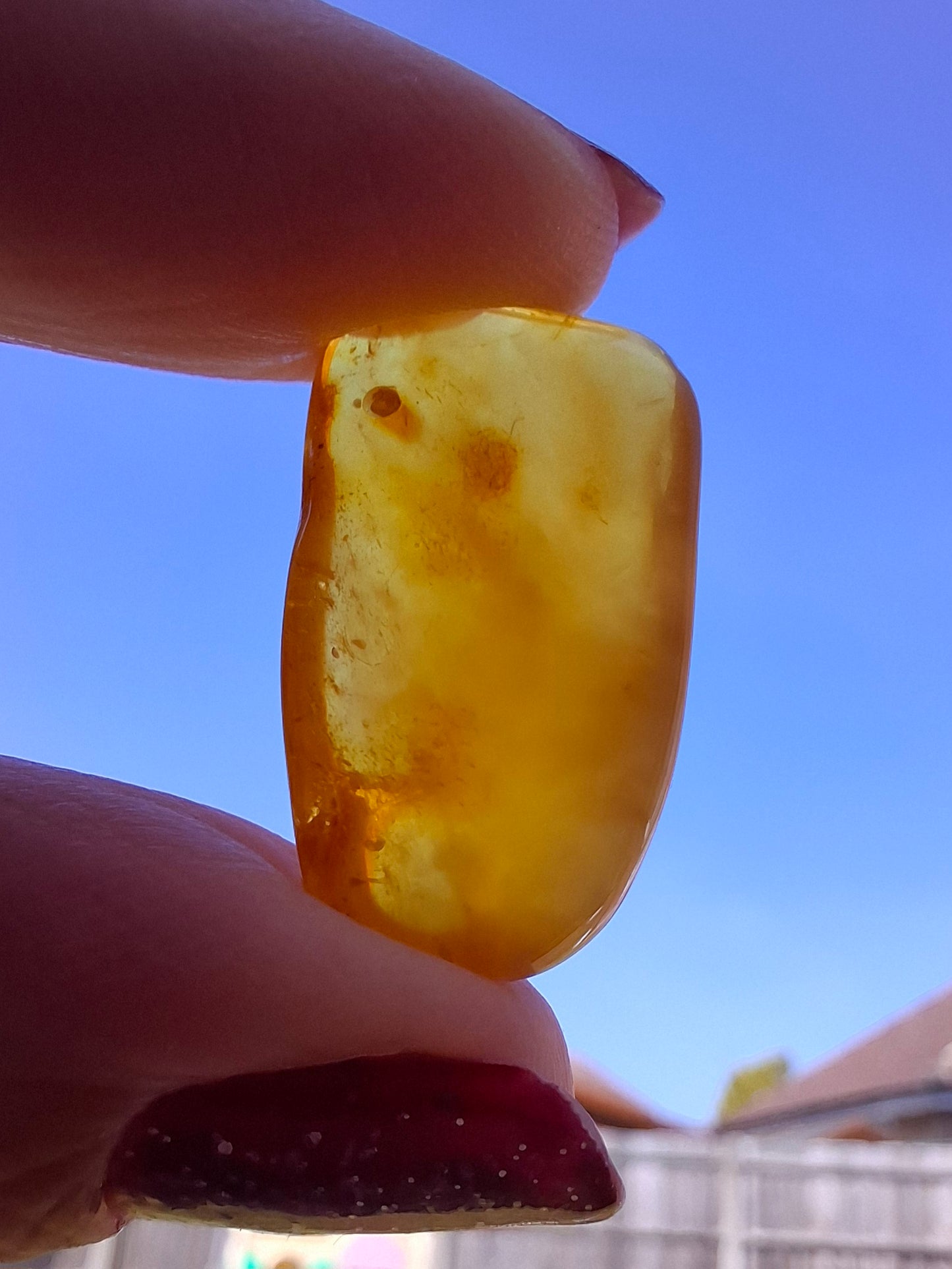 Baltic Amber, 1.55g, Fossil (Ref: A219)