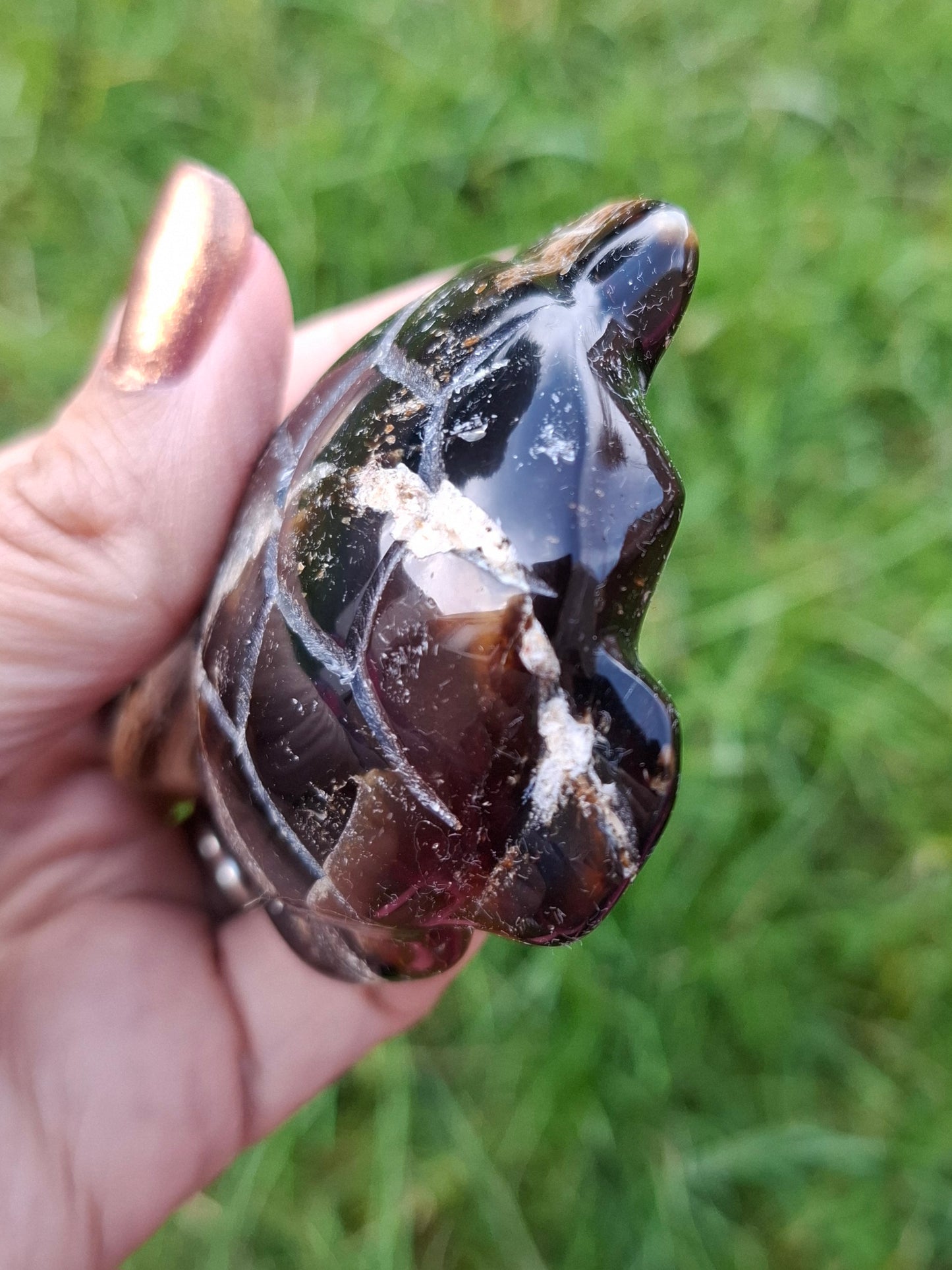 Red Amber Turtle, 50.00g, Carving, Fossil (Ref: TT6)