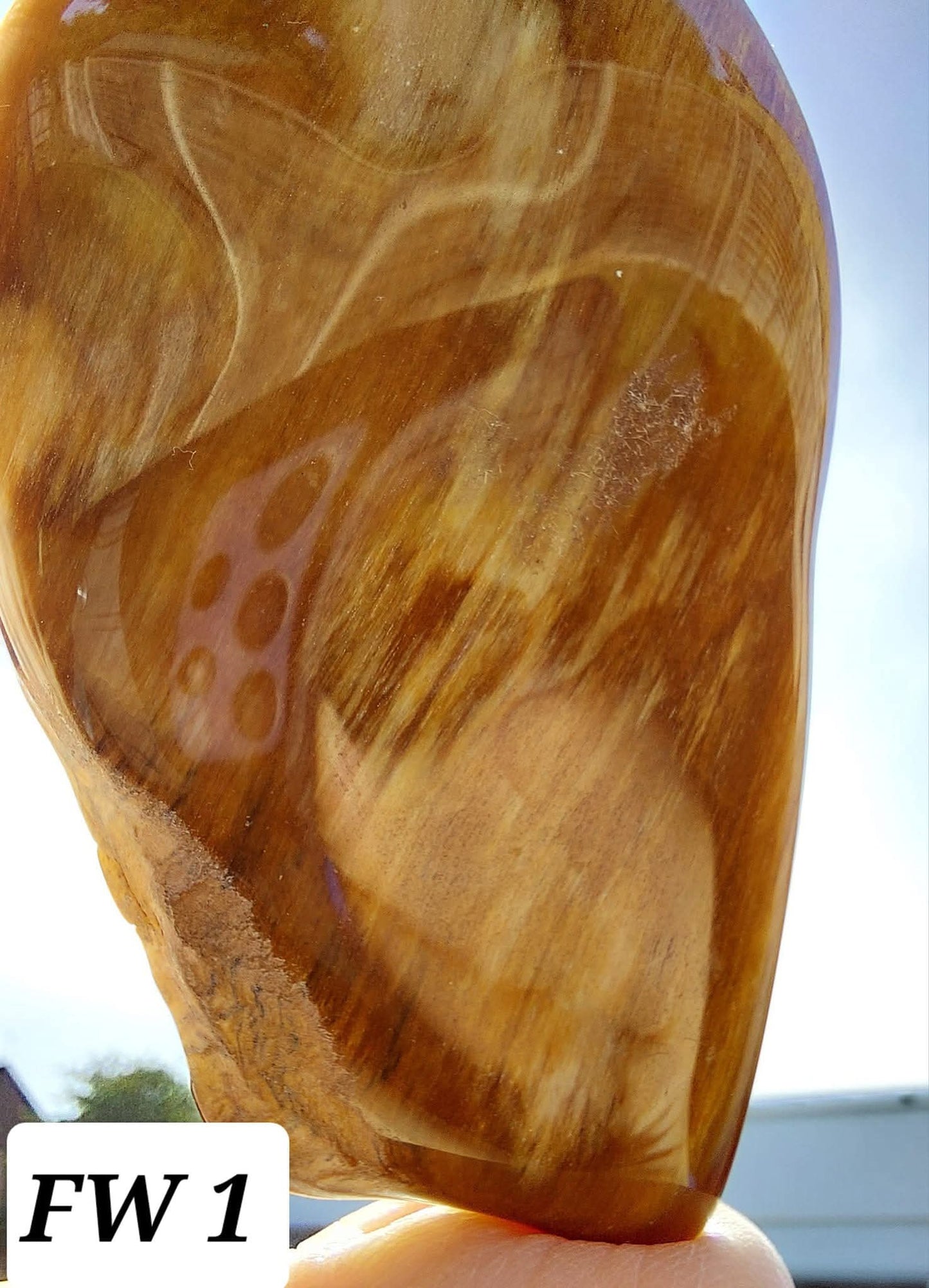 Fossilised Wood (polished), 74.86g, Fossil (Ref: FE1)