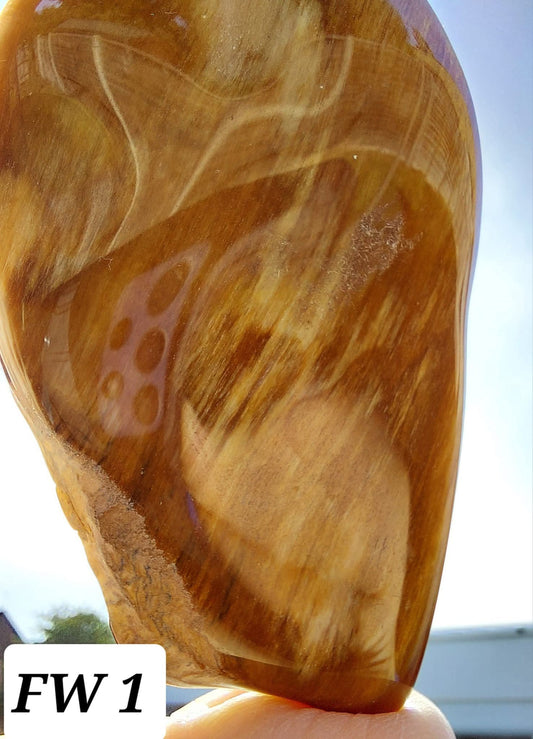 Fossilised Wood (polished), 74.86g, Fossil (Ref: FE1)