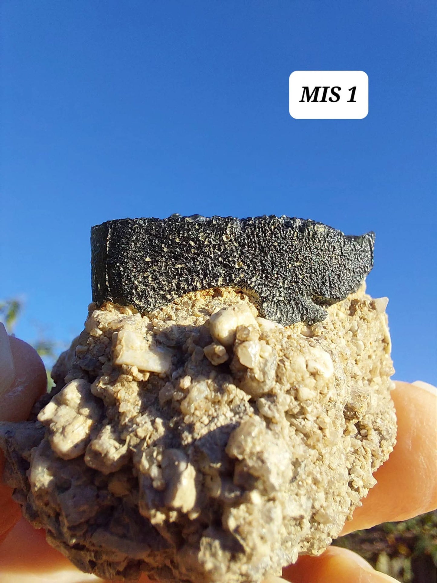 Moldavite In-Situ (in matrix), Besednice, Est-13g, Tektite (Ref: MIS1)