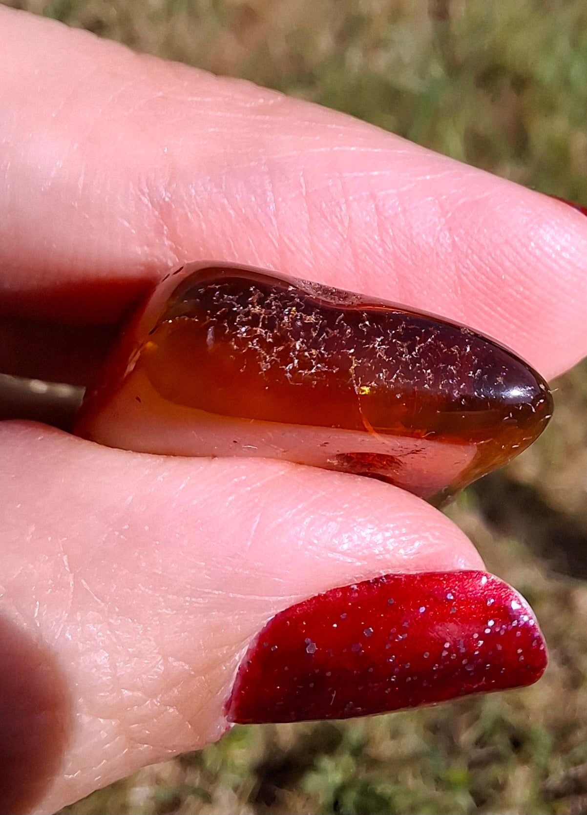 Baltic Amber, 4.50g, Fossil (Ref: A151)
