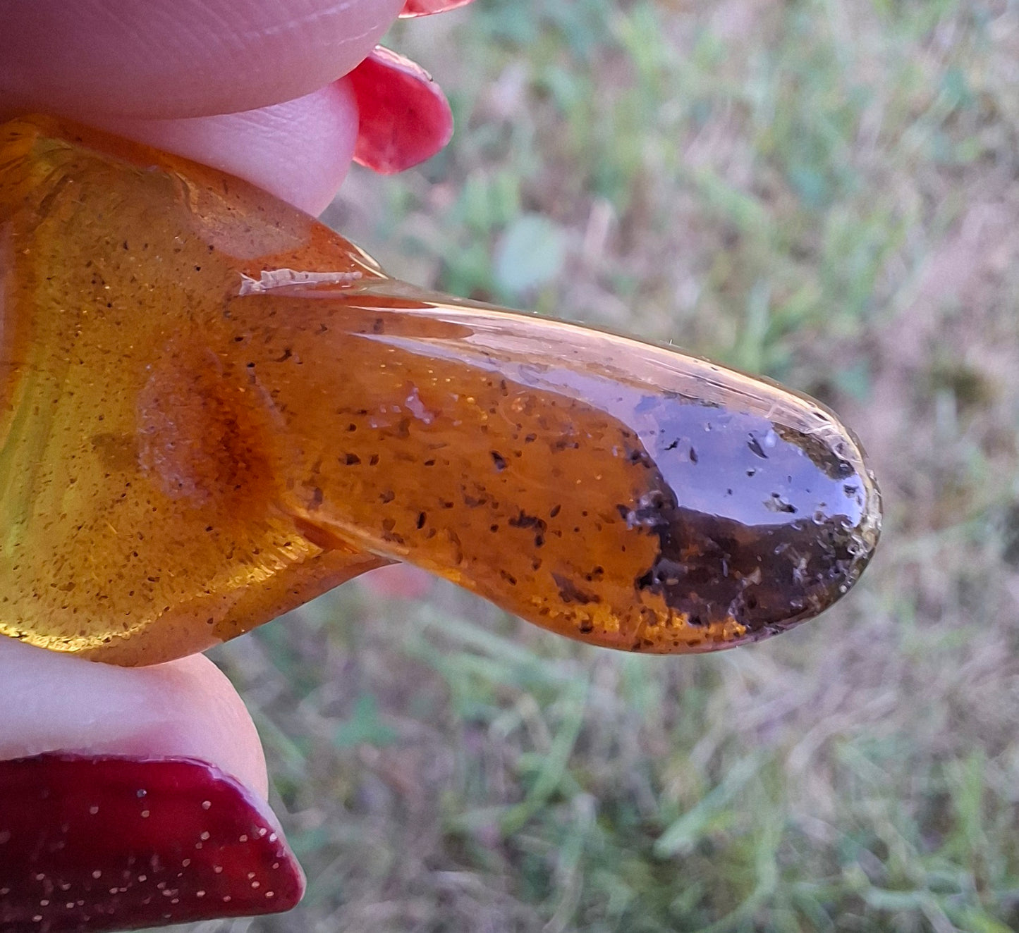 Baltic Amber, 3.17g, Fossil (Ref: A156)