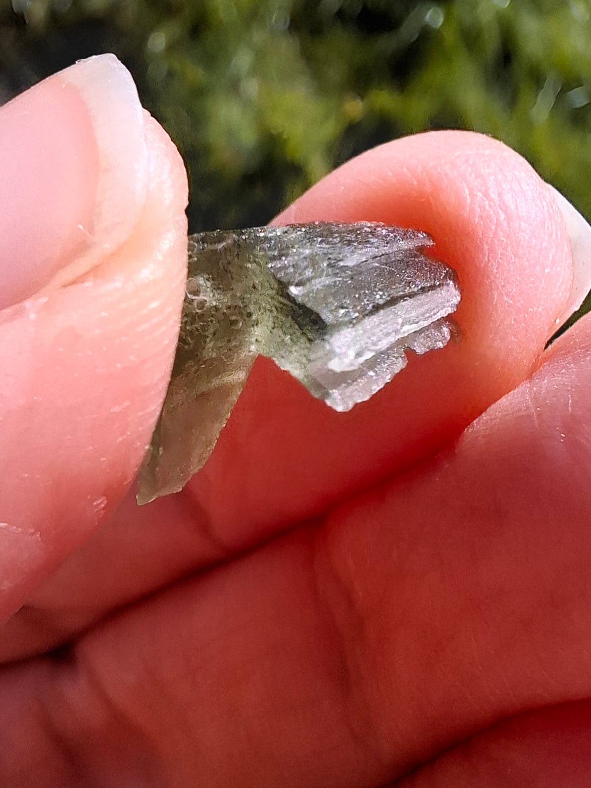 DRILLED, Moldavite Piece, 0.74g, Tektite (Ref: D13)