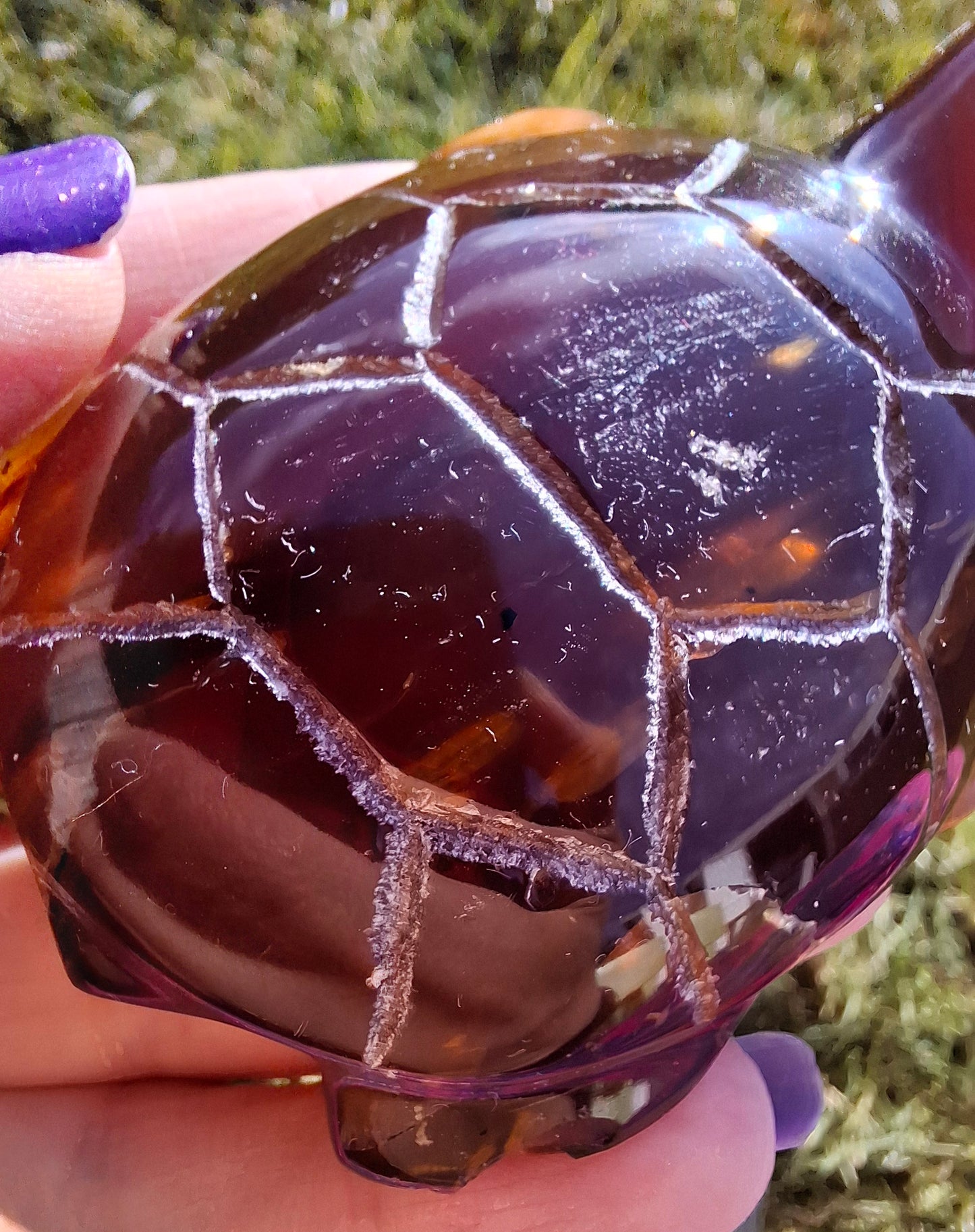 Red Amber Turtle, 49.15g, Carving, Fossil (Ref: TT1)