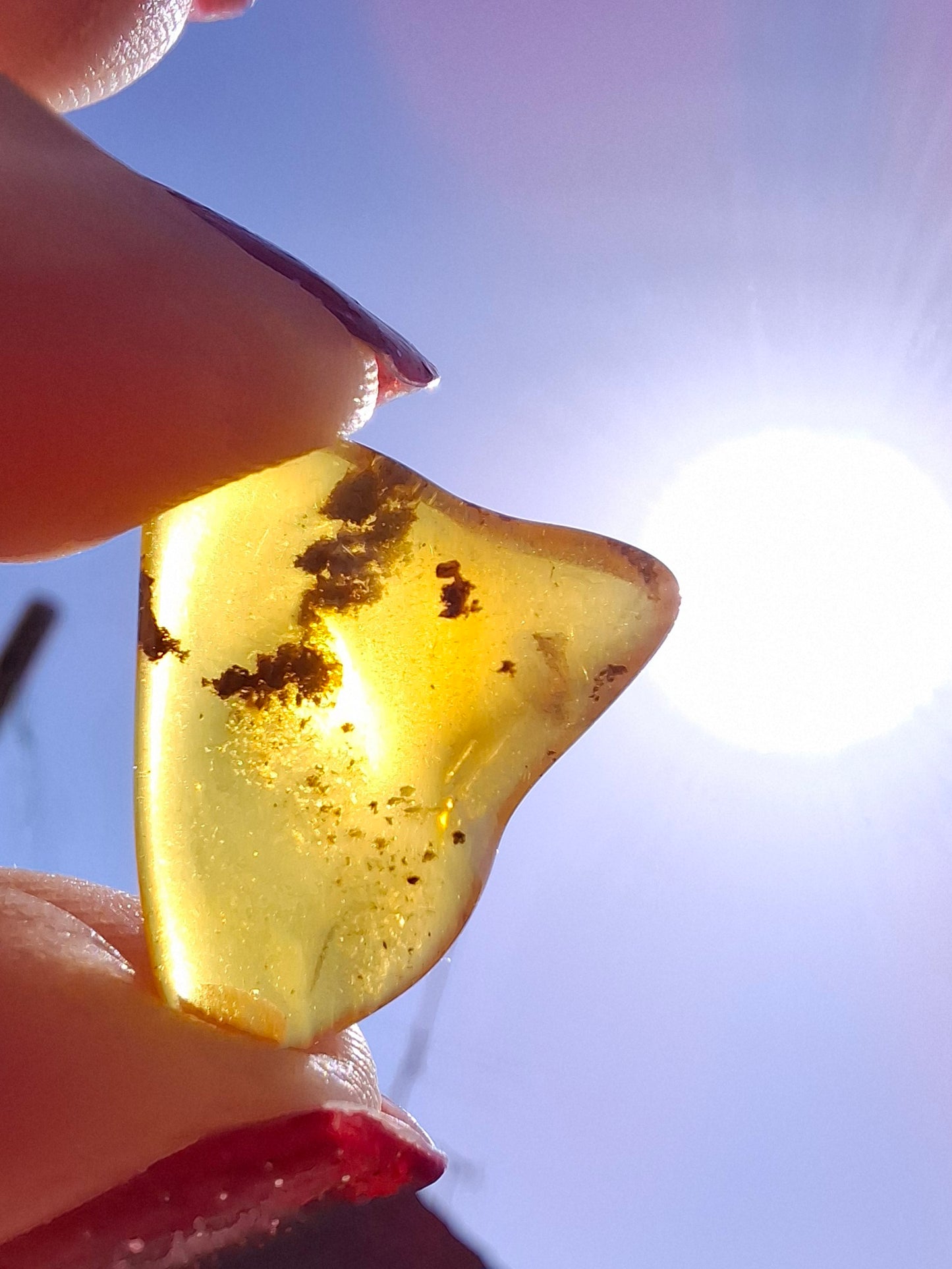 Baltic Amber, 0.91g, Fossil (Ref: A240)