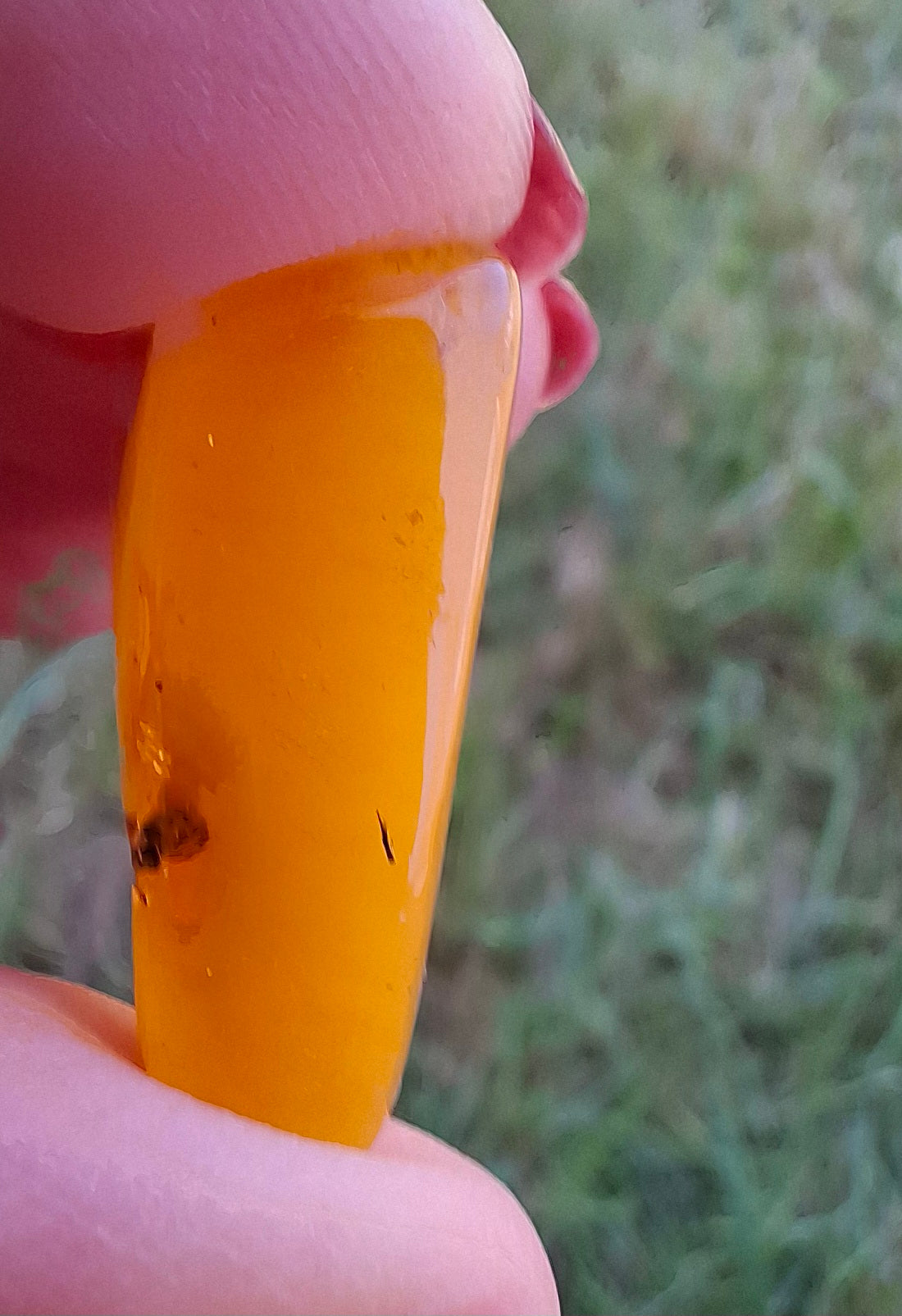 Baltic Amber, 1.74g, Fossil (Ref: A228)