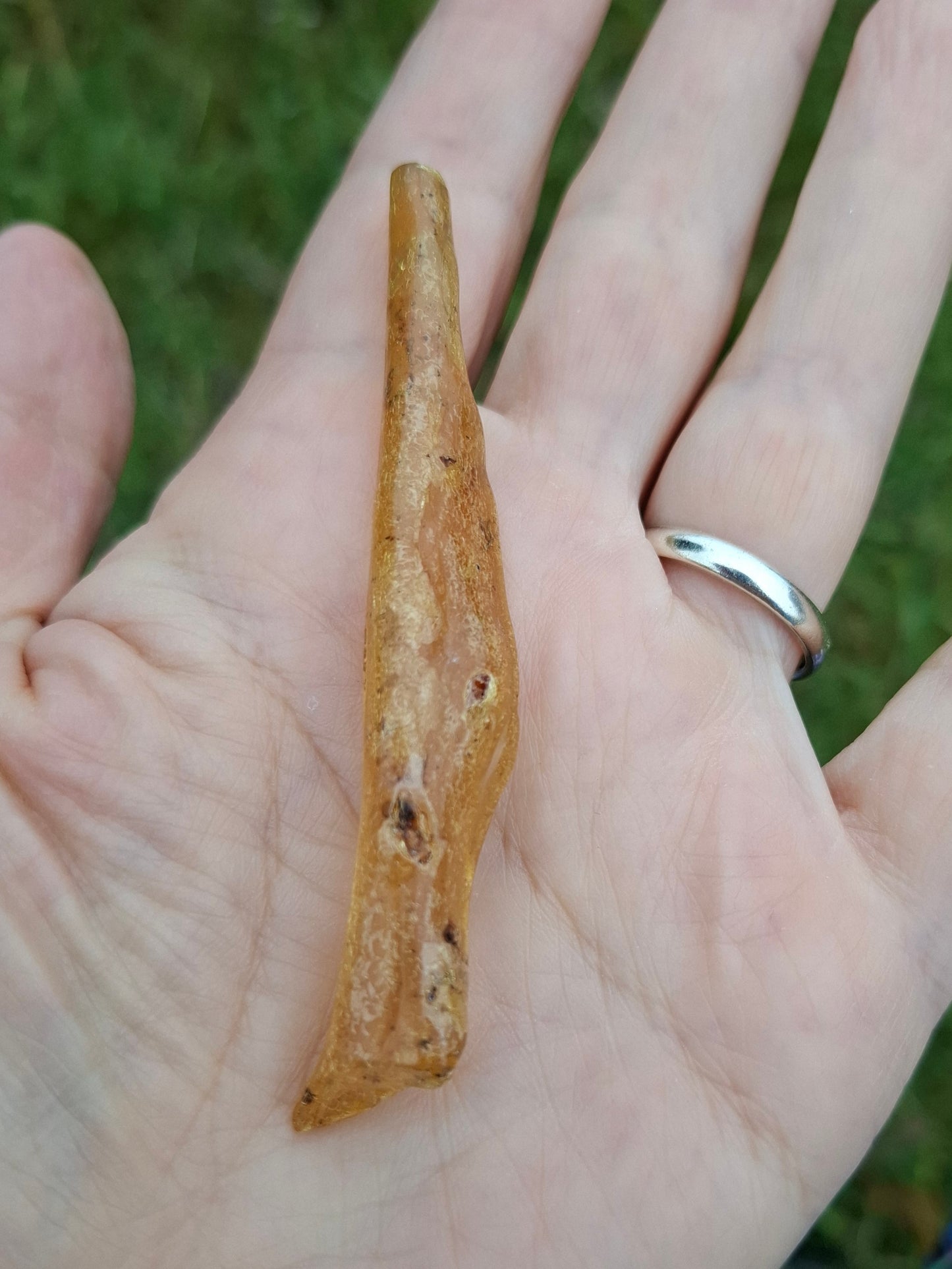 Copal Young Amber with INSECTS inside, 5.07g, Fossil (Ref: CA35)