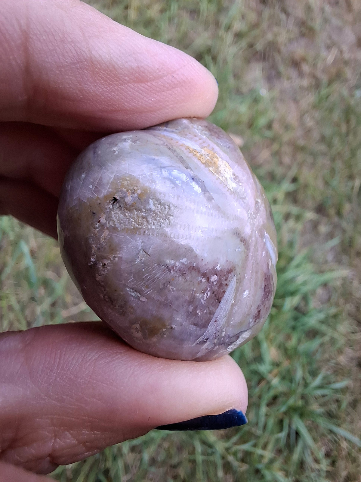 Polished Sea Urchin, Fossil (Ref: SU6)