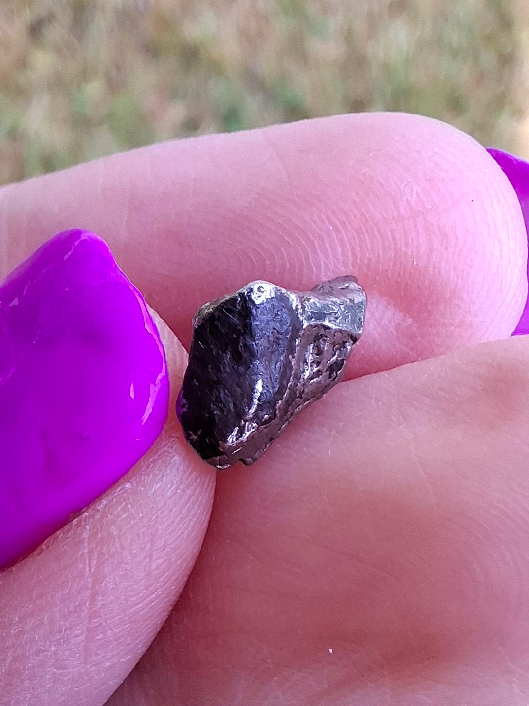 Campo del Cielo, 0.91g, Nickel Iron Meteorite (Ref: C1)