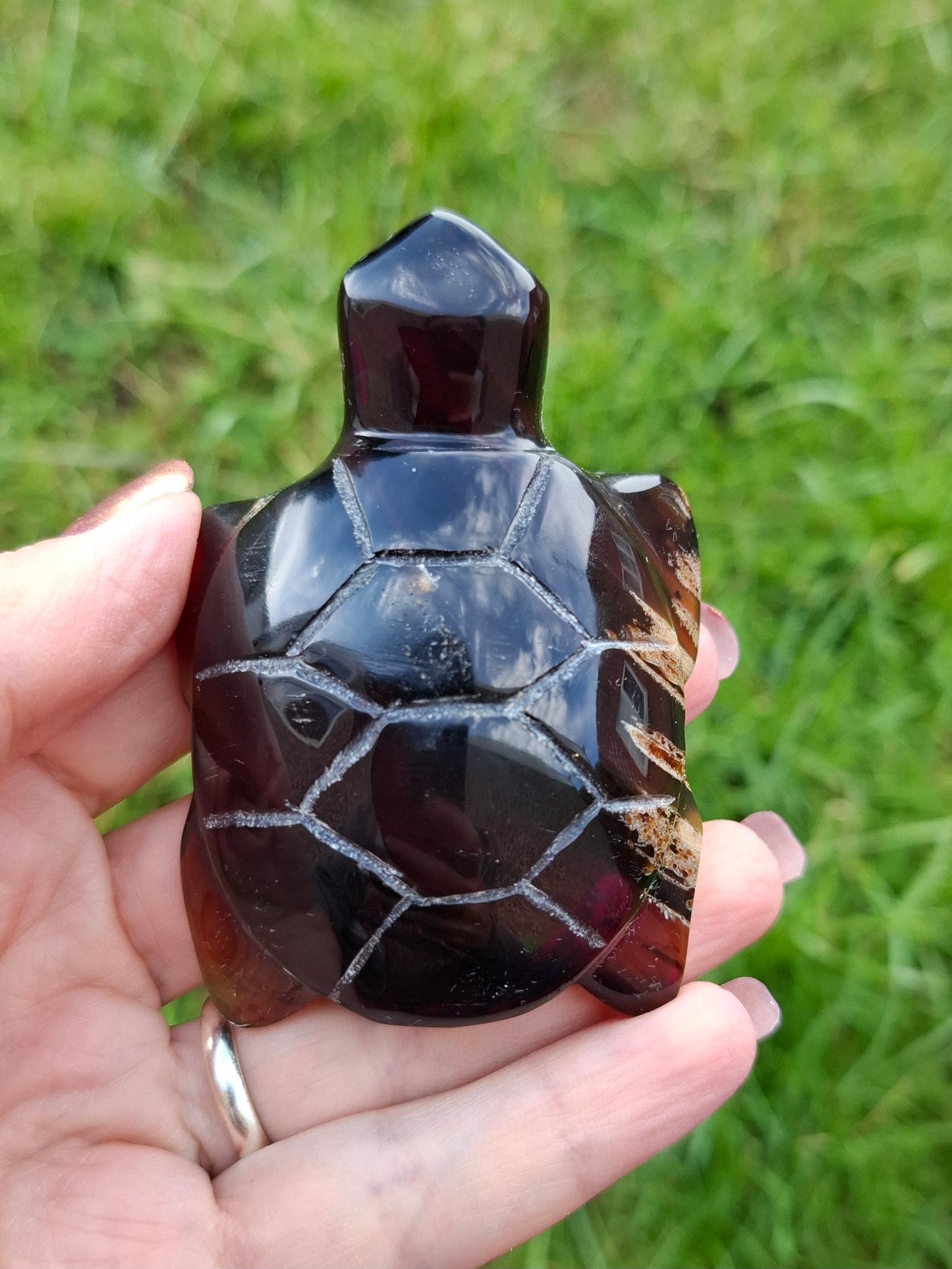 Red Amber Turtle, 47.85g, Carving, Fossil (Ref: TT4)