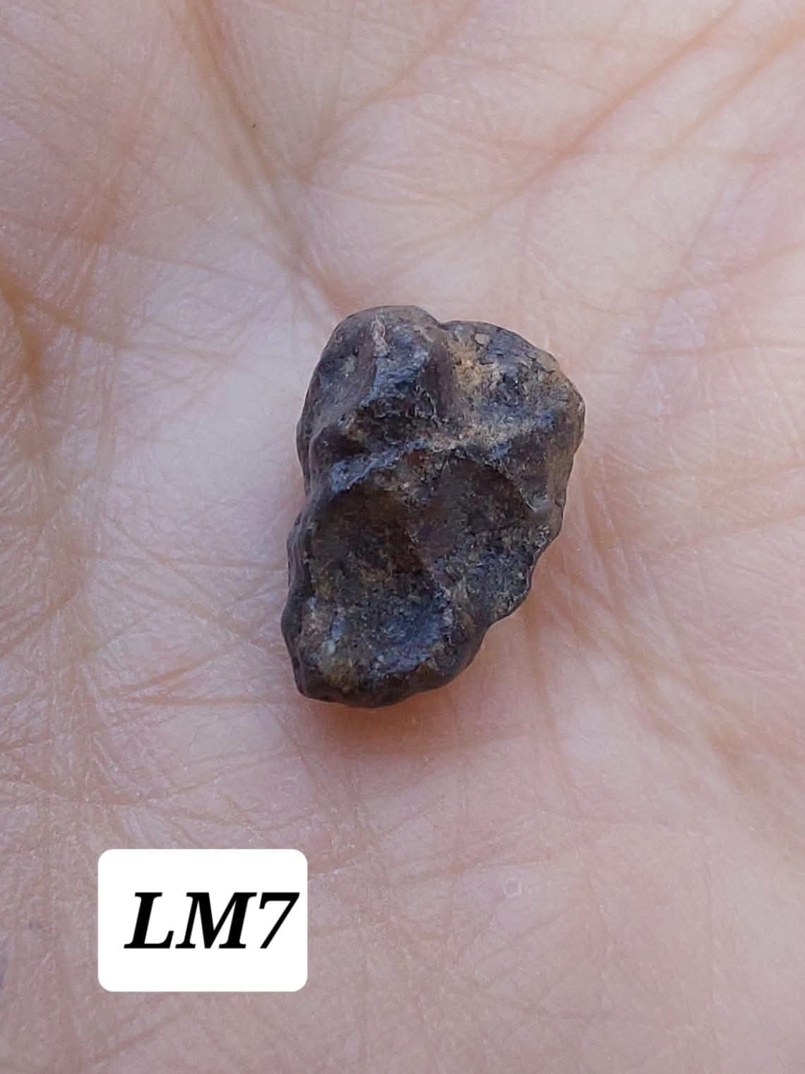 Lunar Meteorite, 0.83g, 'Moon Rock' (Ref: LM7)