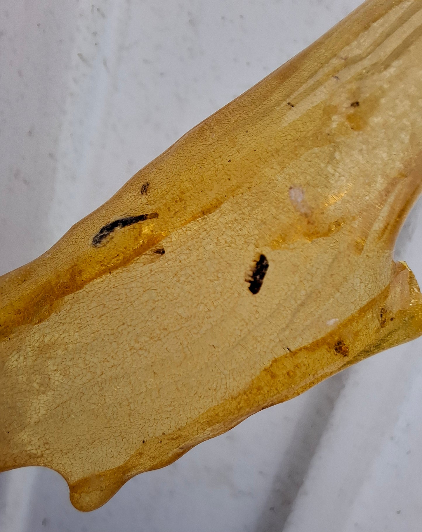 Copal Young Amber with INSECTS inside, 10.79g, Fossil (Ref: CA14)