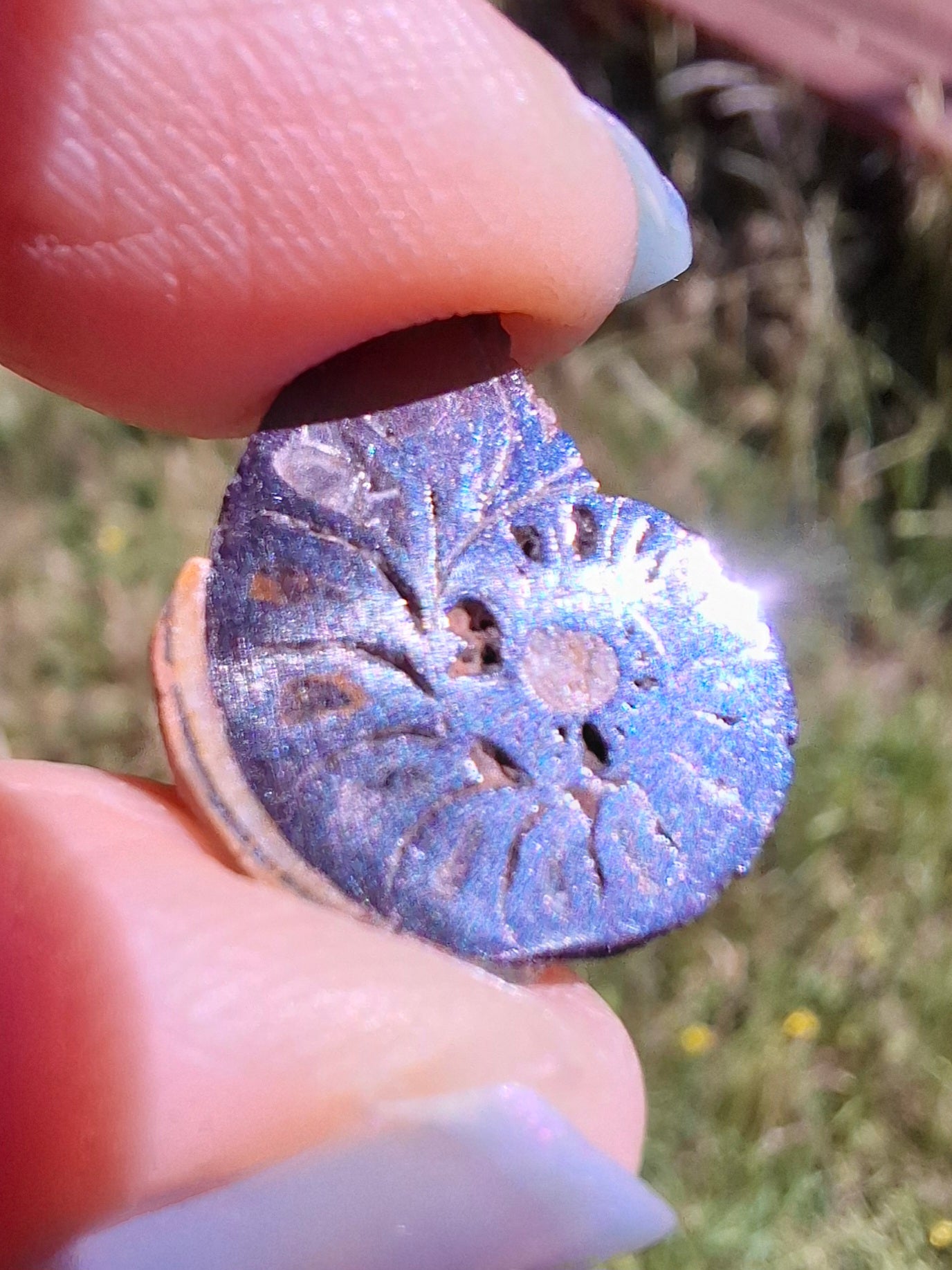 Small Haematite Ammonite HALF, 1.32g, Fossil (Ref: MA5)