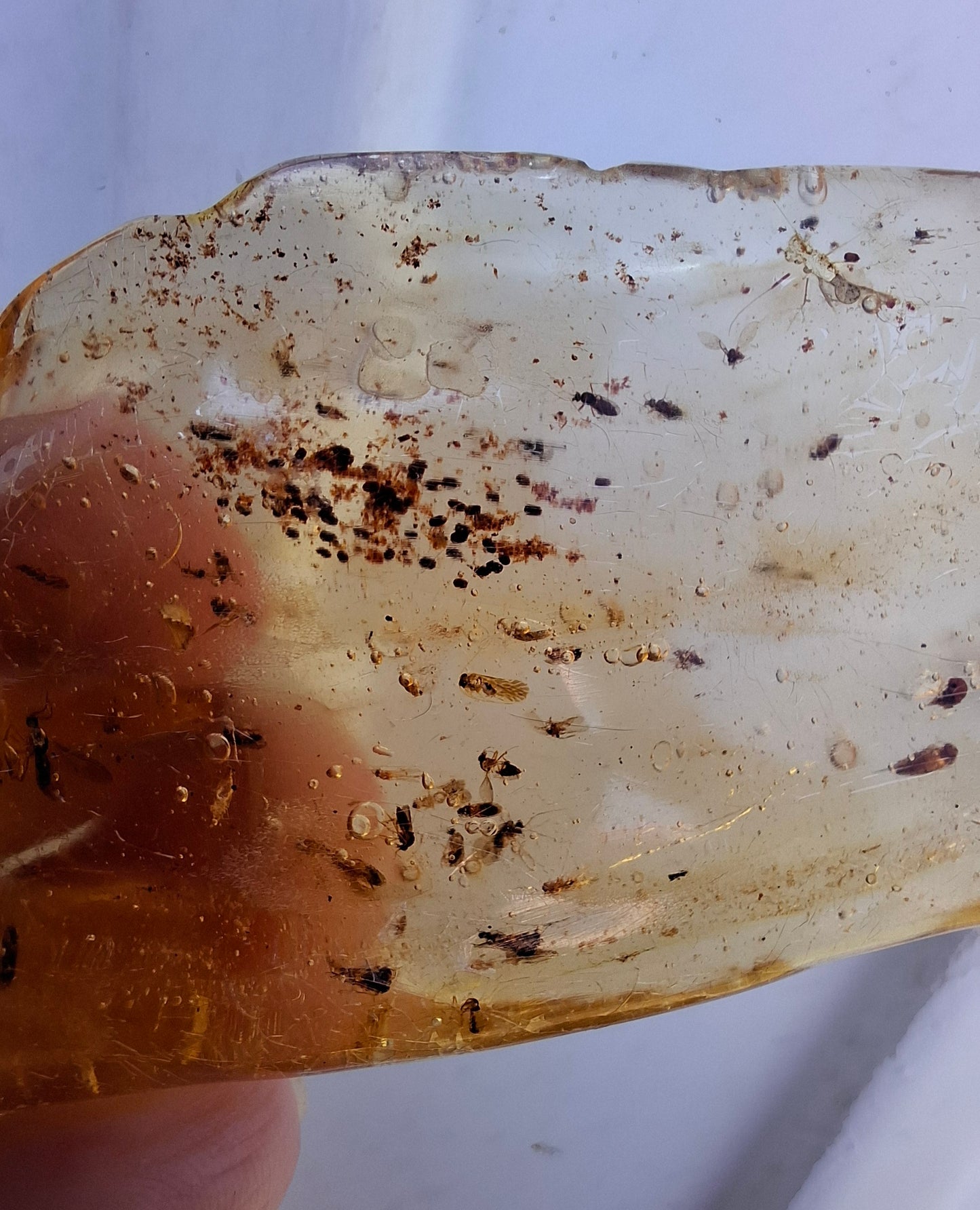 Copal Young Amber with INSECTS inside, 28.43g, Fossil (Ref: CA10)