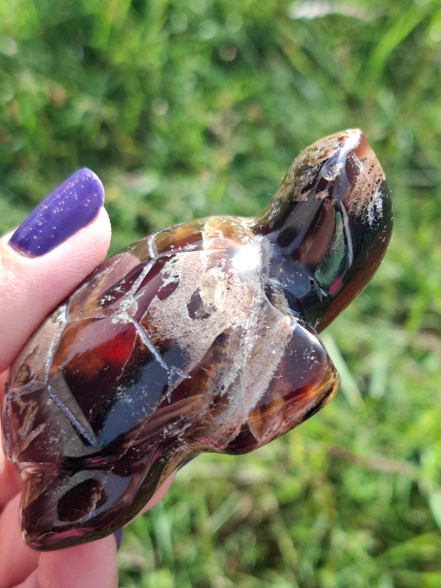 Red Amber Turtle, 56.87g, Carving, Fossil (Ref:TT7)