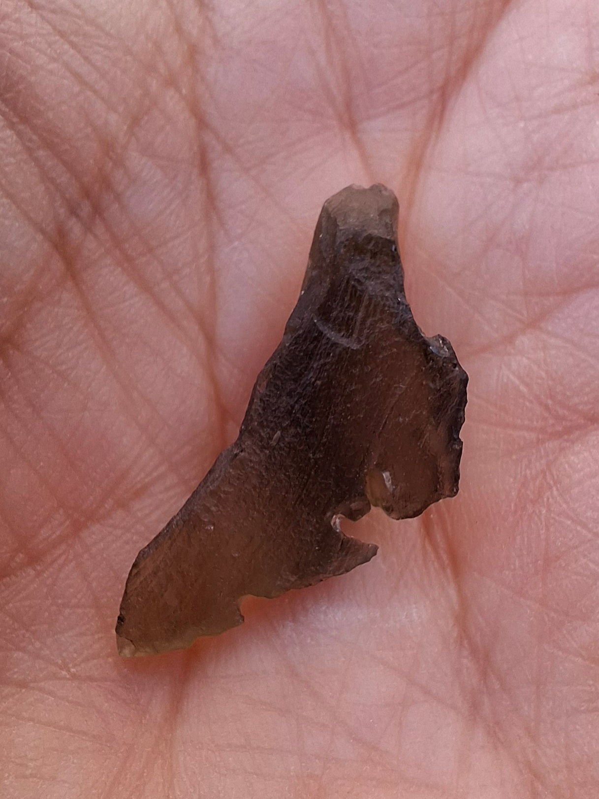 Moldavite Piece, 1.08g, Tektite (Ref: 1429)
