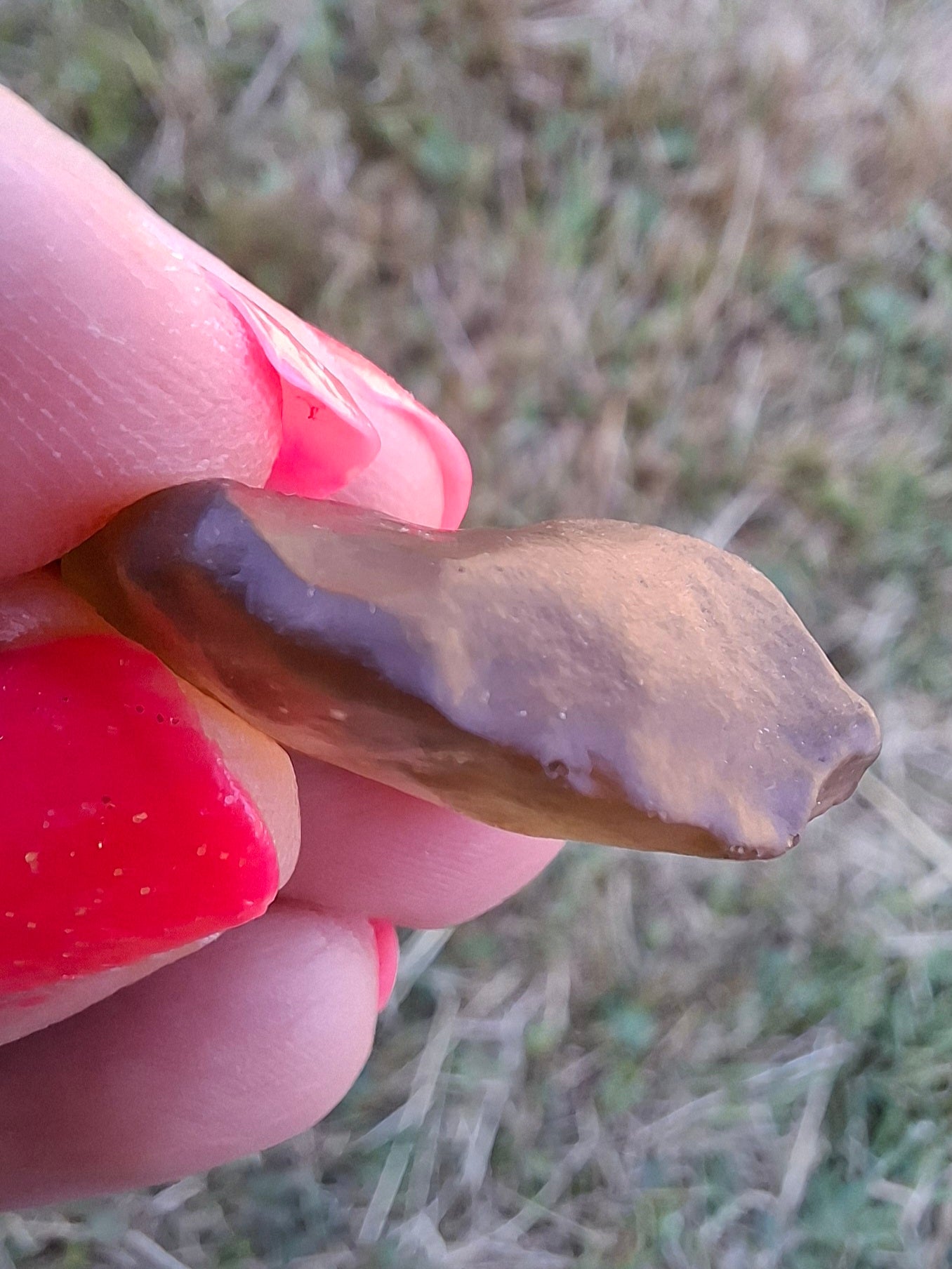 Libyan Desert Glass (darker) Piece, 4.84g, Tektite (Ref: L1360)