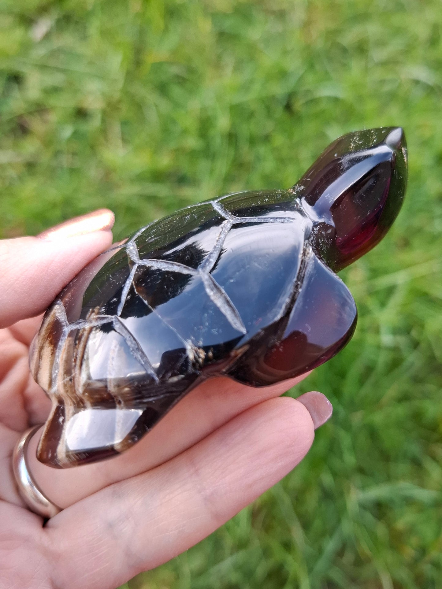 Red Amber Turtle, 59.07g, Carving, Fossil (Ref: TT5)