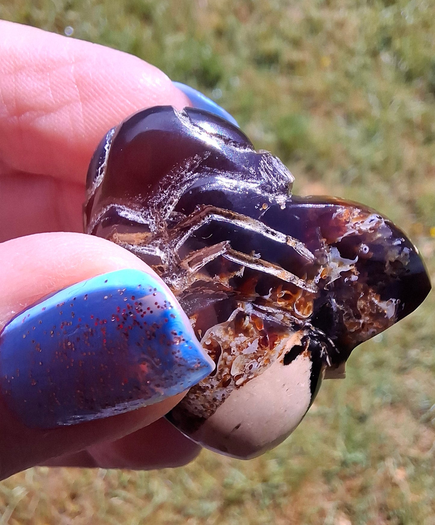 Red Amber Honey Bee Carving, 7.00g, Fossil (Ref: Bee31)