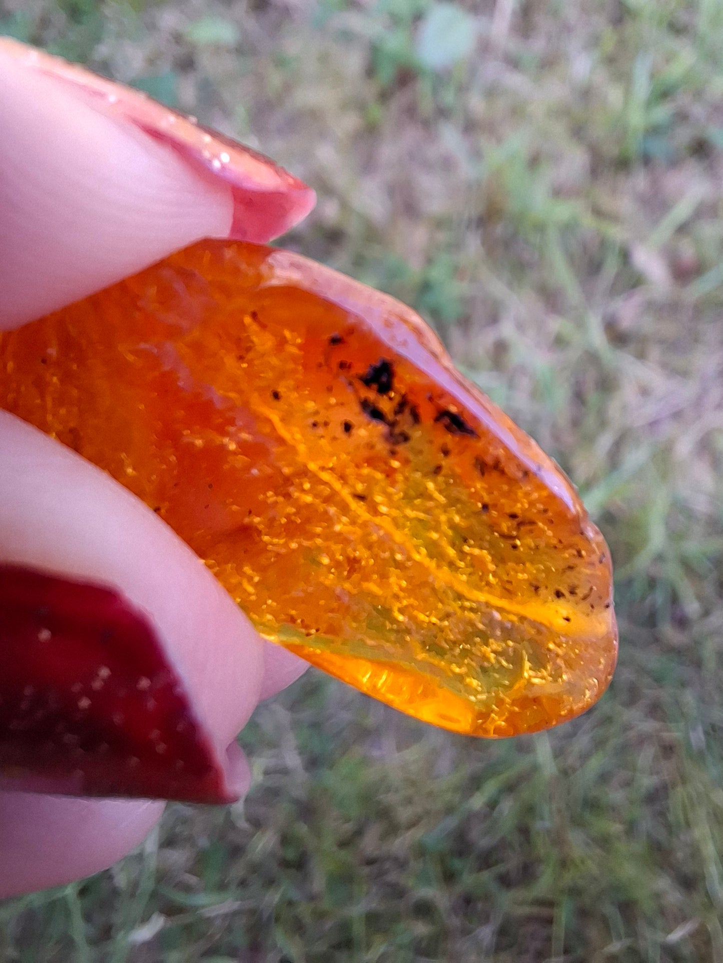 Baltic Amber, 1.39g, Fossil (Ref: A181)
