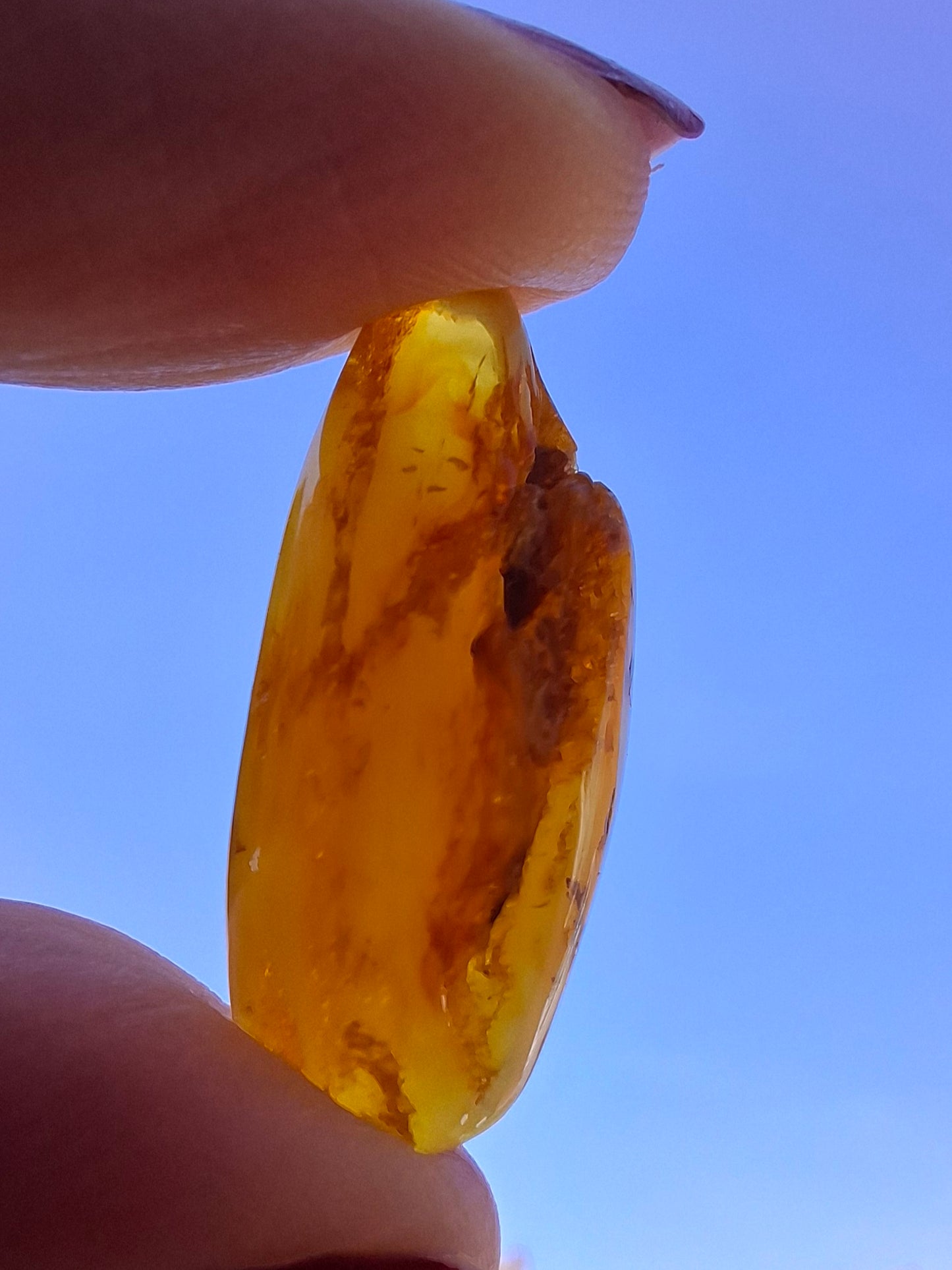Baltic Amber, 1.68g, Fossil (Ref: A233)