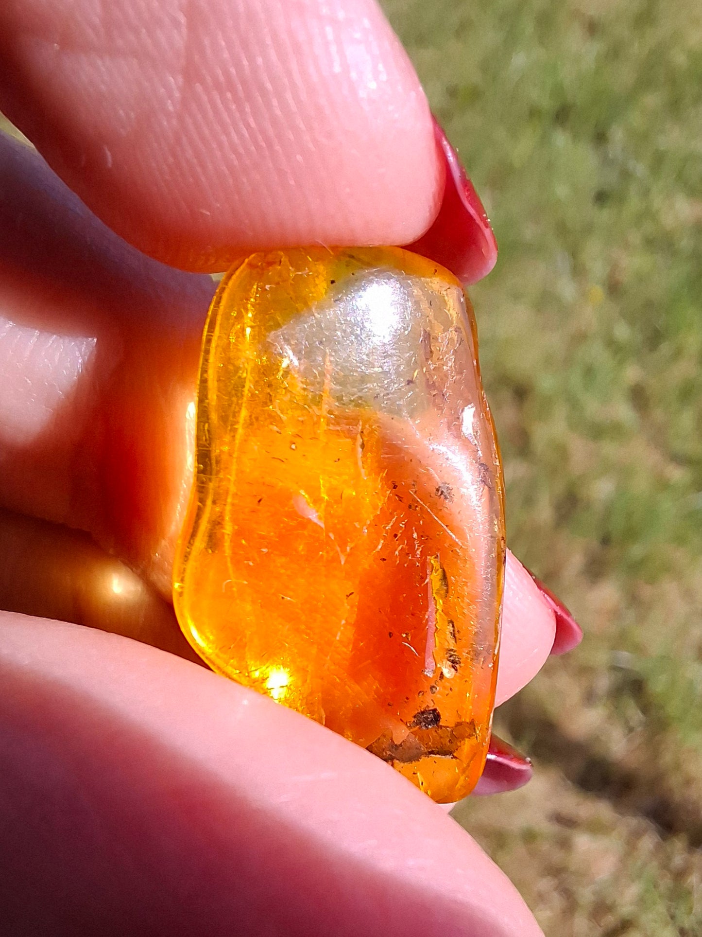 Baltic Amber, 1.23g, Fossil (Ref: A237)