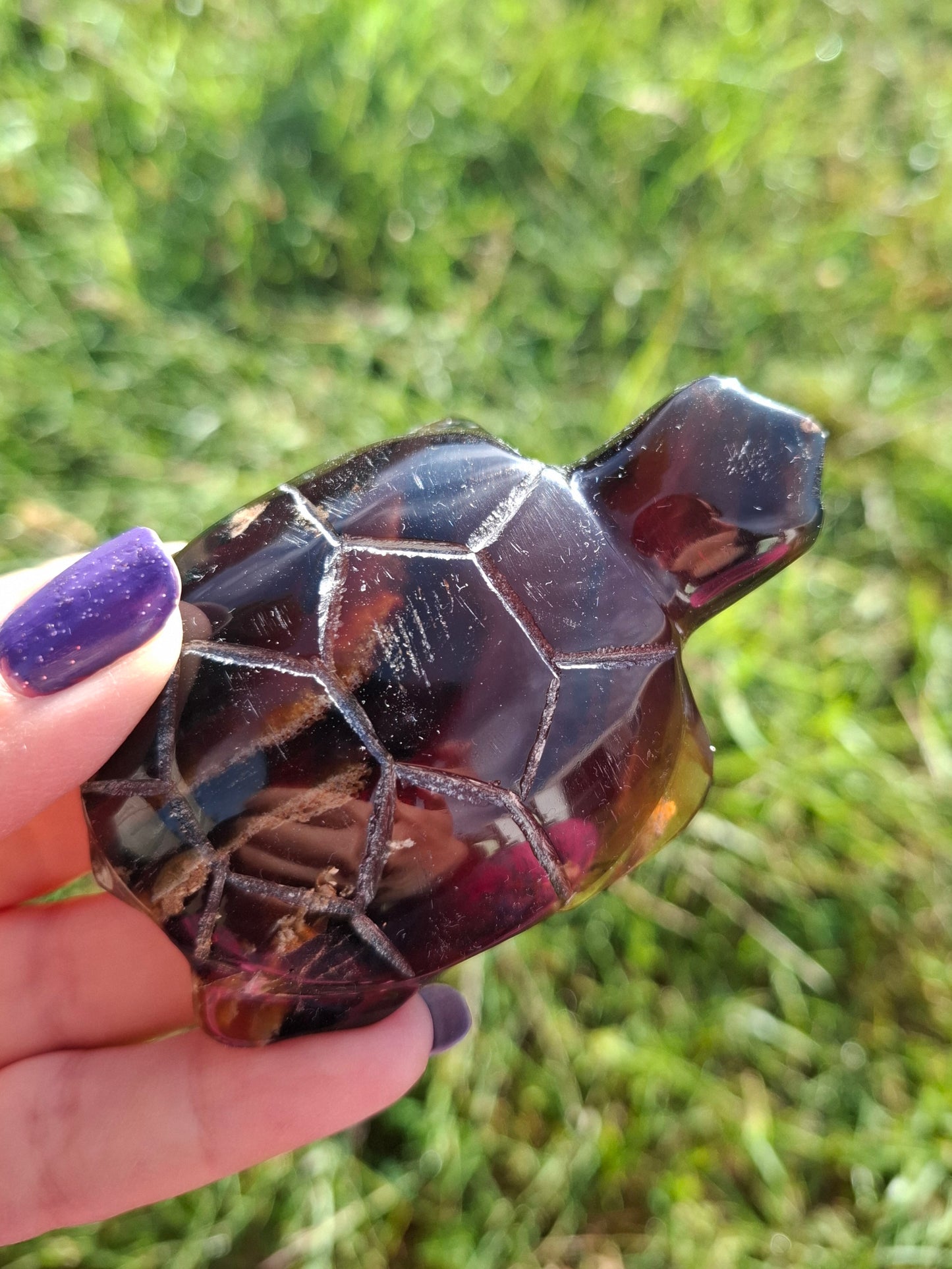 Red Amber Turtle, 52.00g, Carving, Fossil (Ref: TT3)