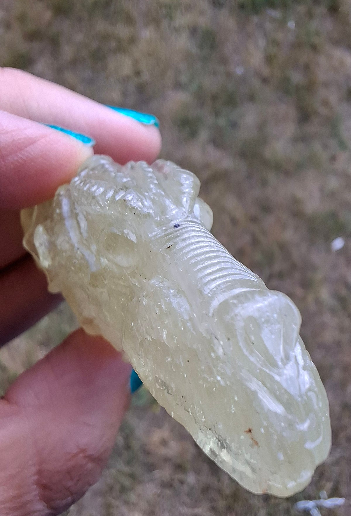 Libyan Desert Glass DRAGON HEAD carving, 48.11g, Tektite (Ref: Dragon4)
