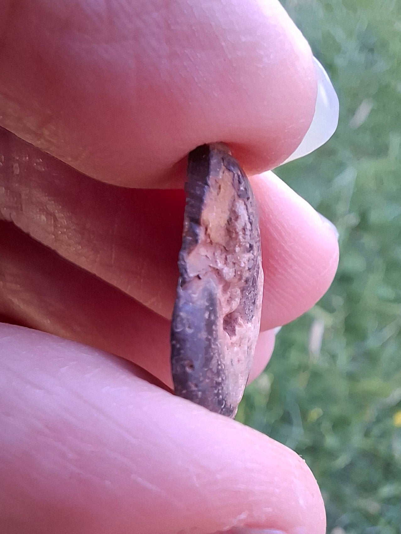 Small Haematite Ammonite HALF, 1.36g, Fossil (Ref: MA12)