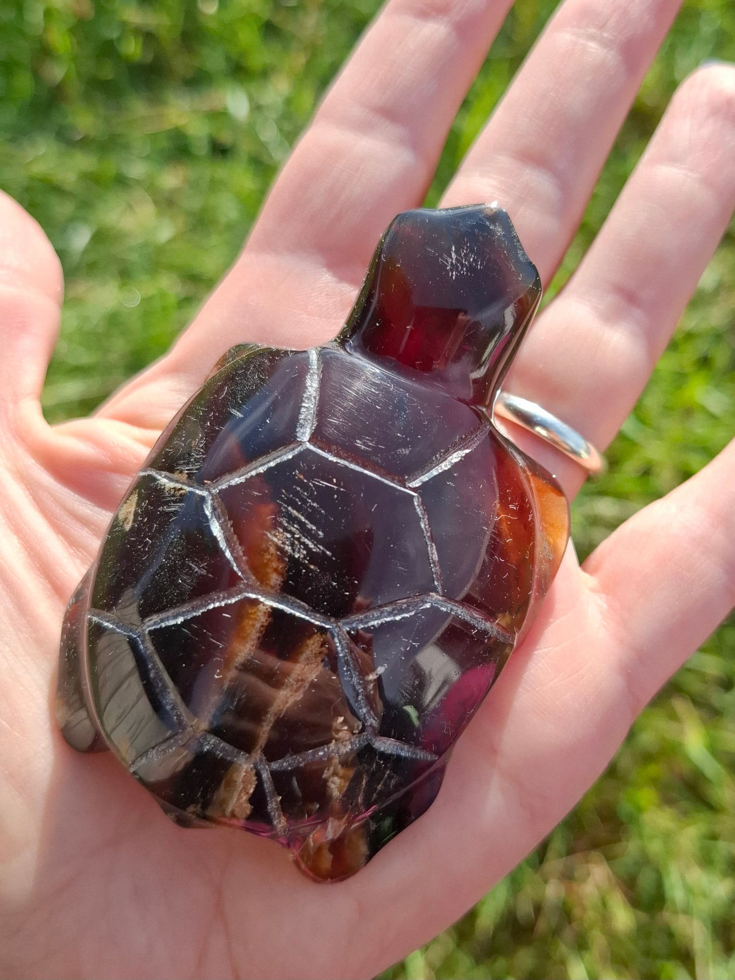 Red Amber Turtle, 52.00g, Carving, Fossil (Ref: TT3)