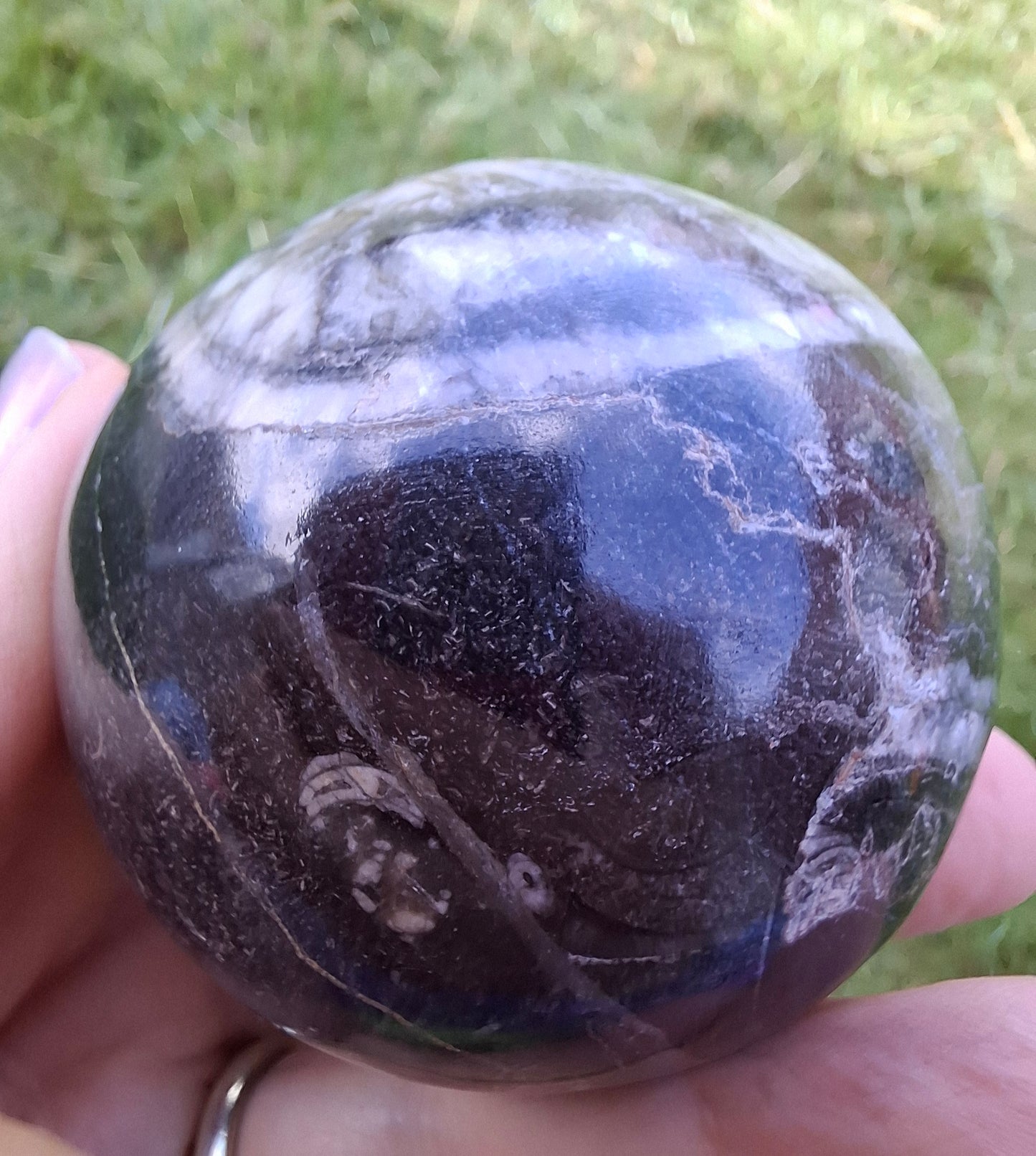 Orthoceras Sphere, Fossil (Ref: OS4)