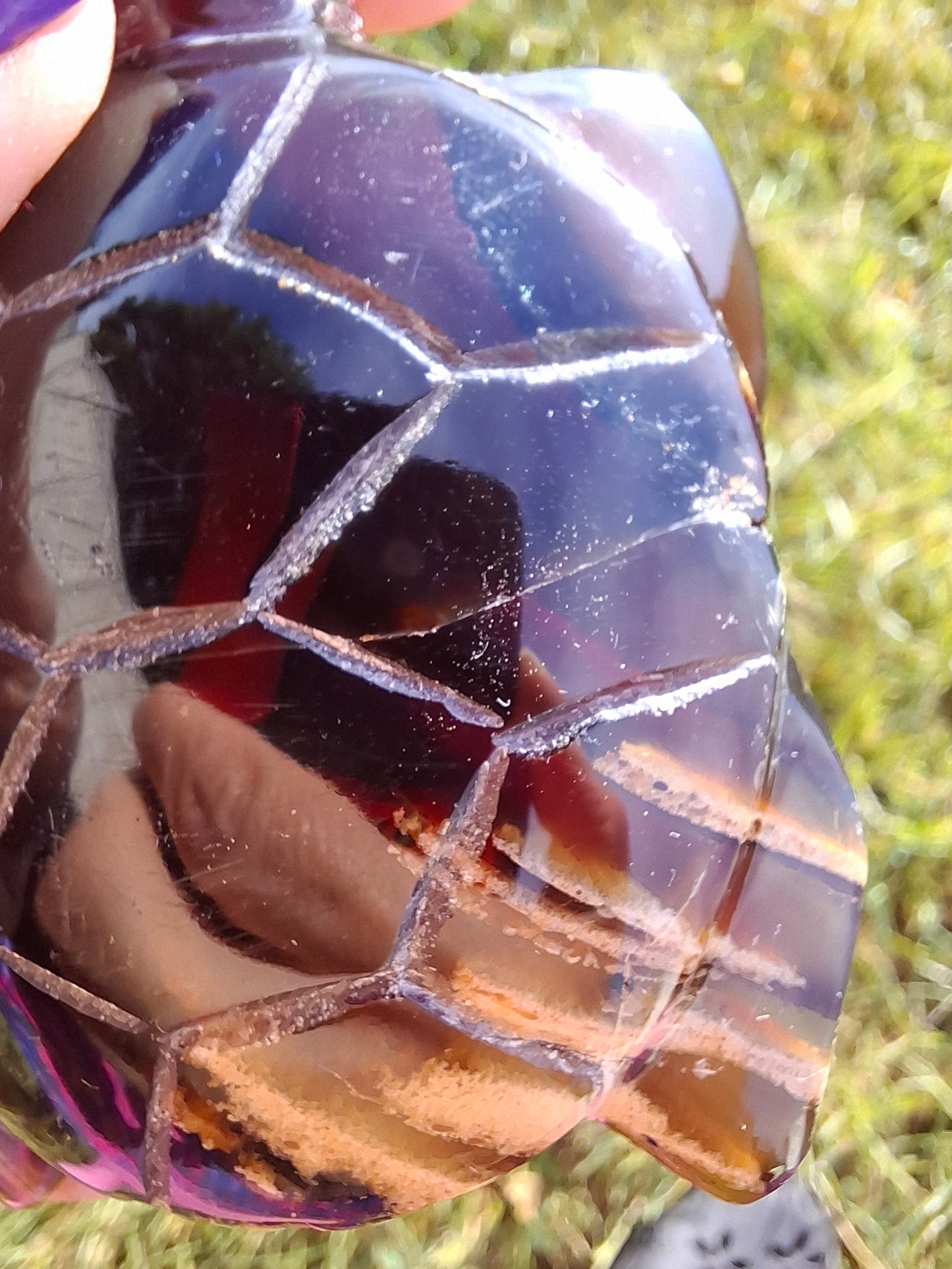 Red Amber Turtle, 59.07g, Carving, Fossil (Ref: TT5)
