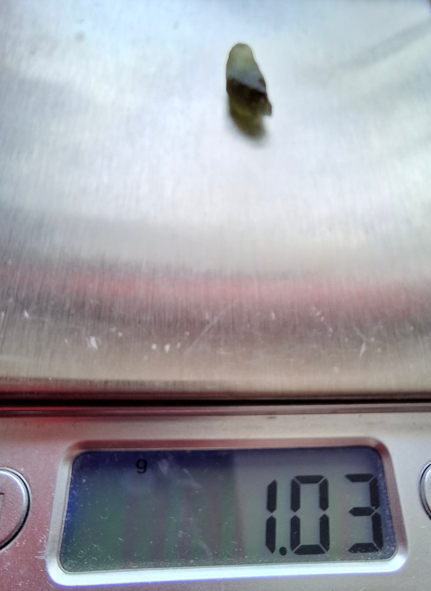 Moldavite Piece, 1.03g, Tektite (Ref: 1416)