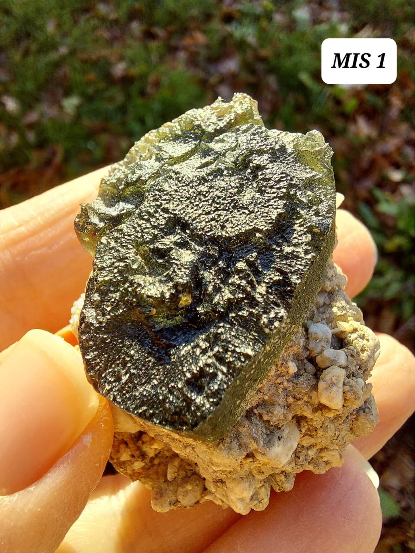 Moldavite In-Situ (in matrix), Besednice, Est-13g, Tektite (Ref: MIS1)