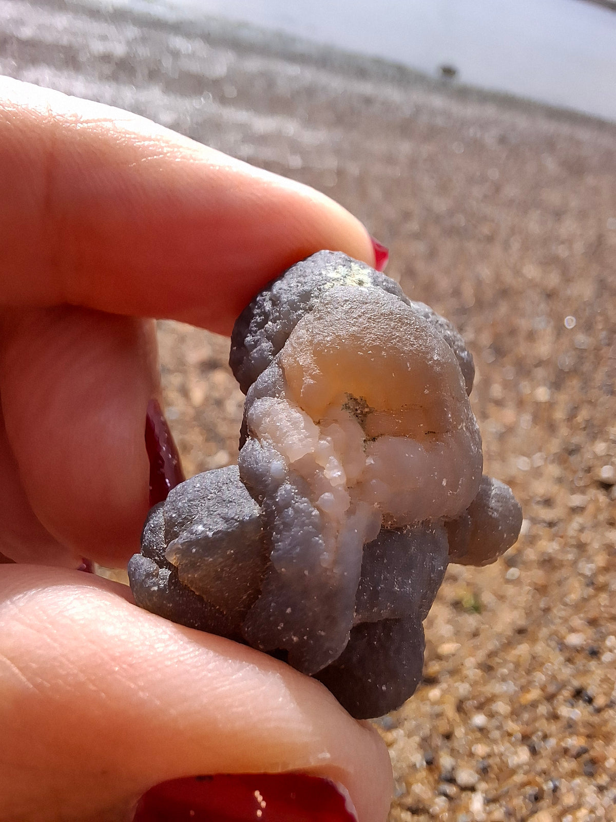 Nebula Chalcedony, 16.91g, Fossil (Ref: NC1)