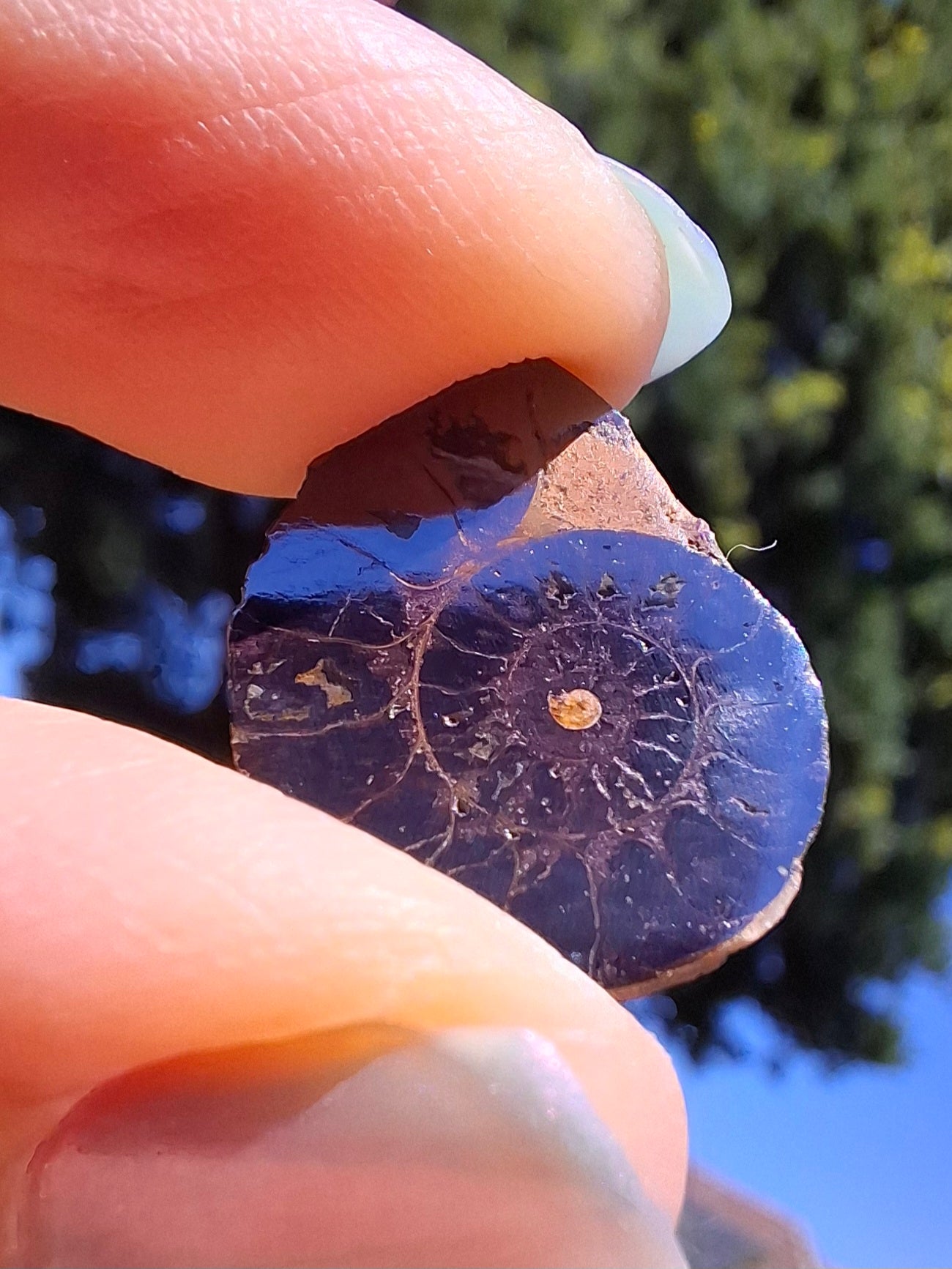 Small Haematite Ammonite HALF, 1.36g, Fossil (Ref: MA12)
