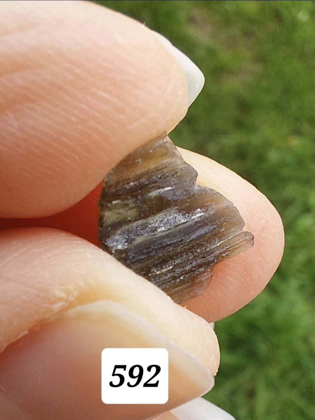 Moldavite Piece, 0.57g, Tektite (Ref: 592)