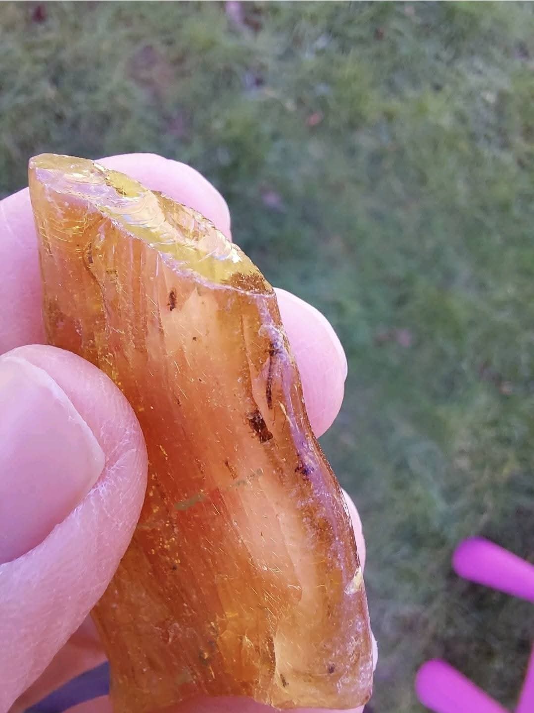Copal Young Amber with INSECTS inside, 6.42g, Fossil (Ref: CA38)