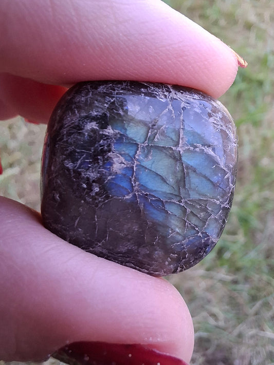 Labradorite, Tumble Stone, Crystal (Ref: T214)