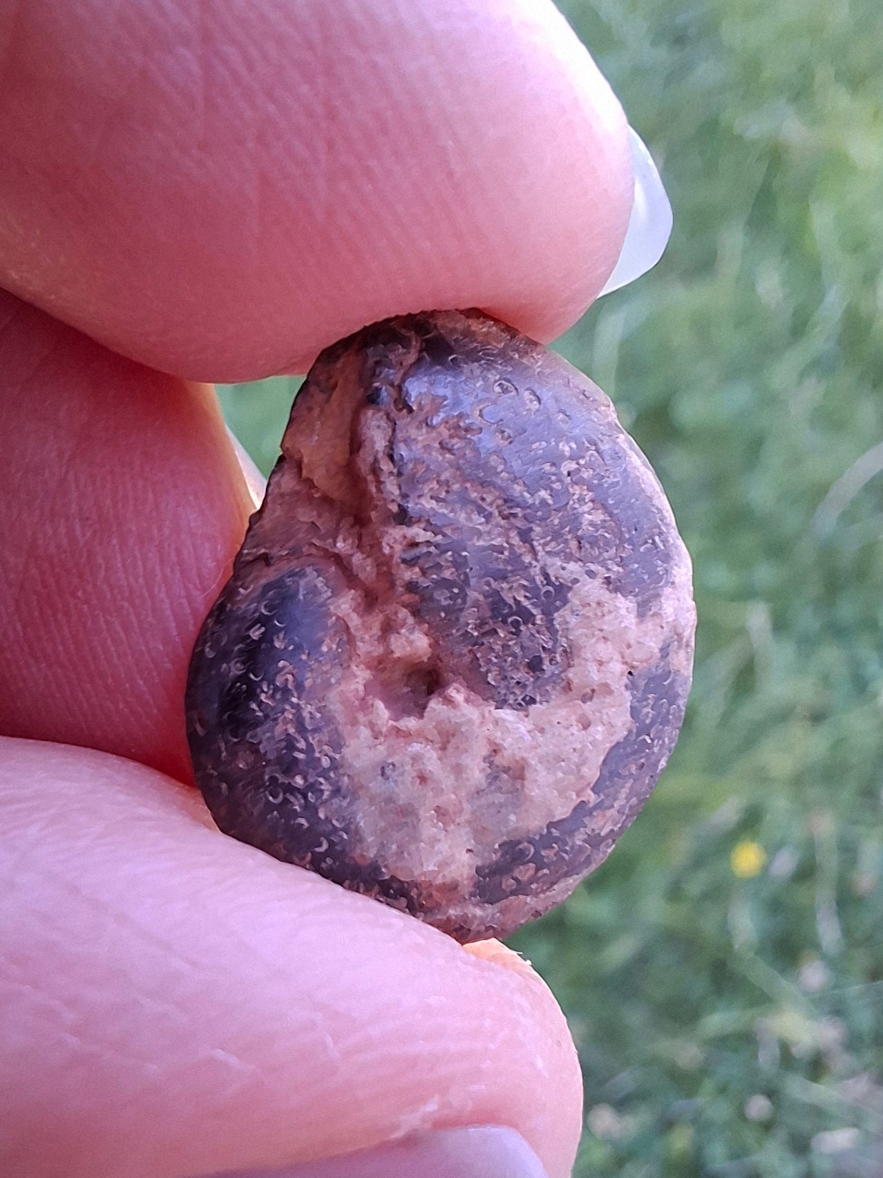Small Haematite Ammonite HALF, 1.36g, Fossil (Ref: MA12)