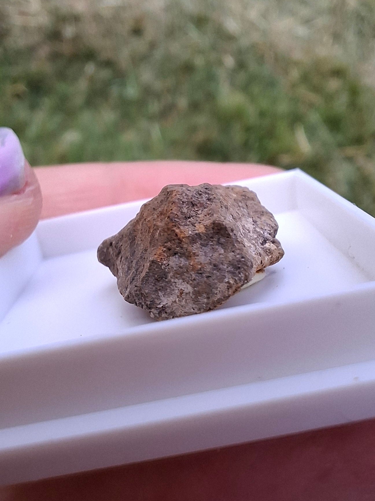 Chondrite, Meteorite (Ref: CM7)