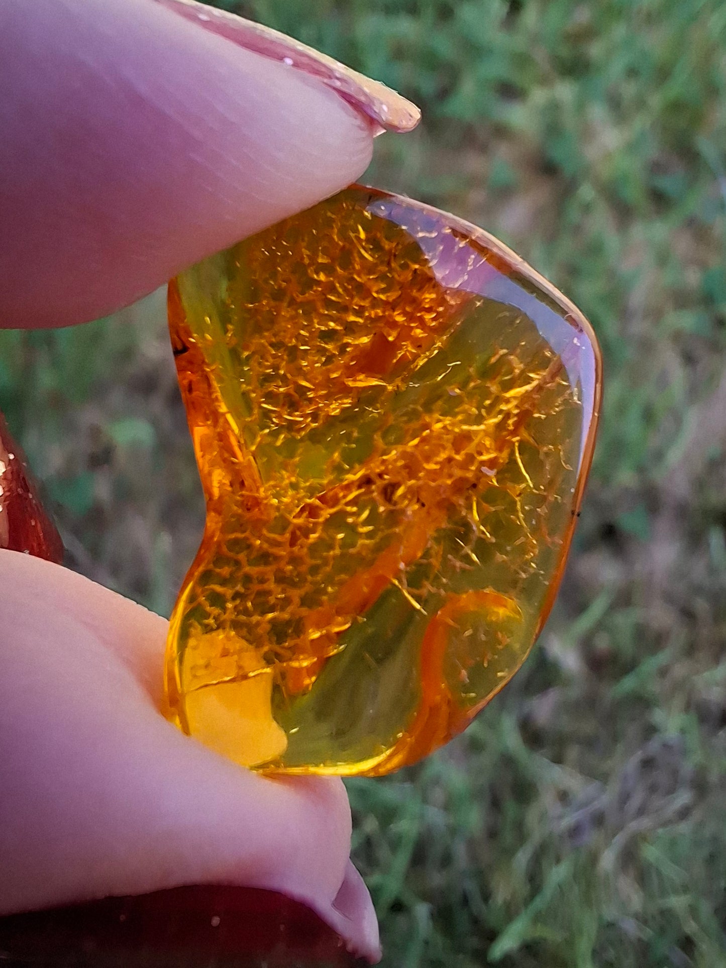 Baltic Amber, 1.07g, Fossil (Ref: A98)