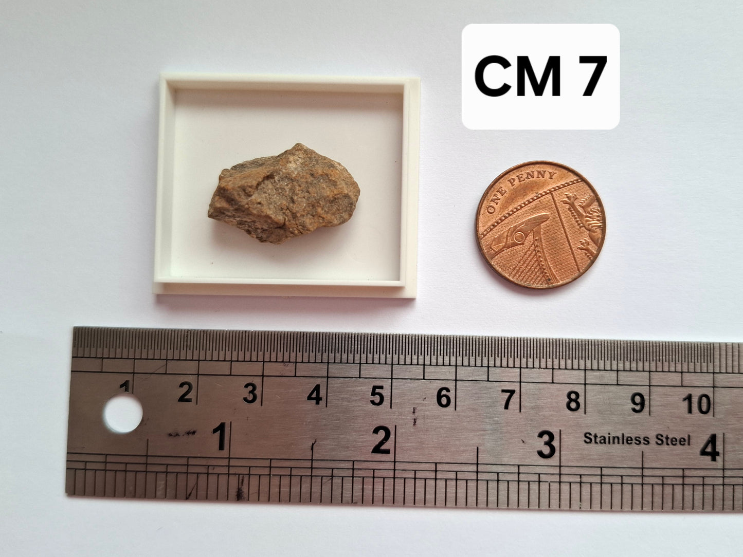 Chondrite, Meteorite (Ref: CM7)