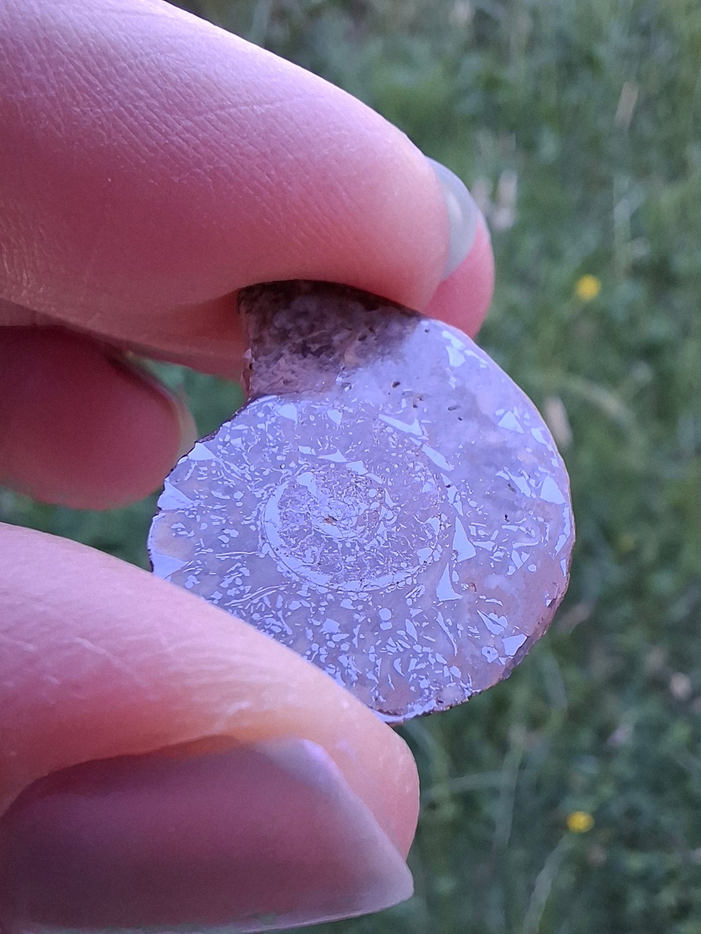 Small Haematite Ammonite HALF, 2.55g, Fossil (Ref: MA8)