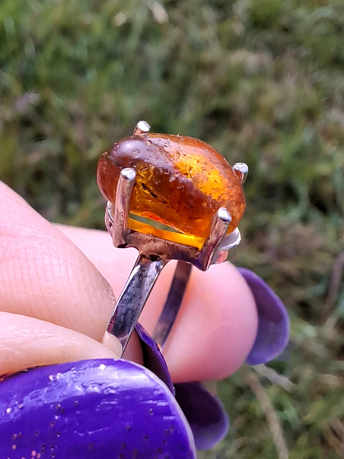Baltic Amber Ring, size large W, 925 Silver, Fossil (Ref: AR29)