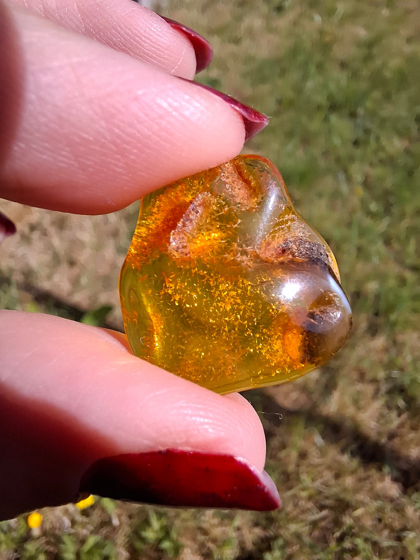 Baltic Amber, 1.45g, Fossil (Ref: A76)