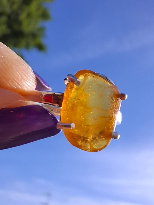 Baltic Amber Ring, size large N, 925 Silver, Fossil (Ref: AR9)