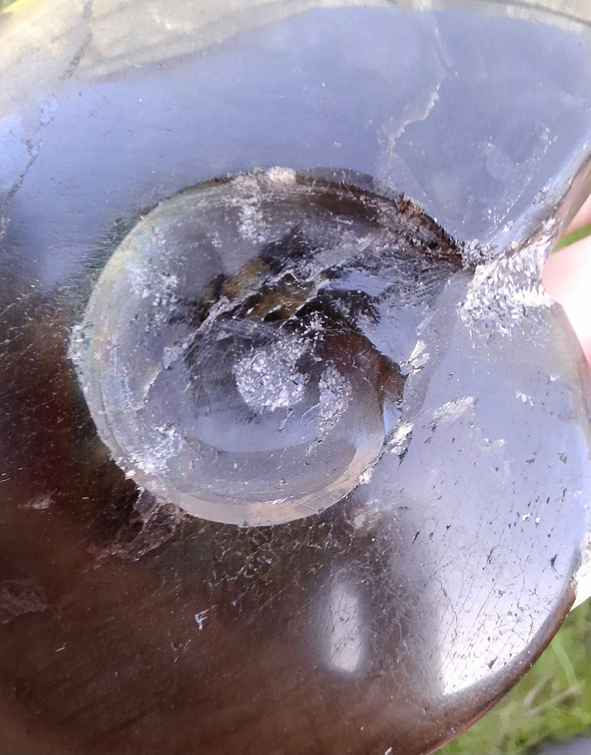 Labradorite Ammonite Carving, 160.21g, Crystal (Ref: laba4)